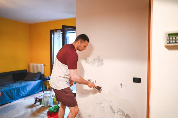Best Mold Removal Near Me  in East Niles, CA